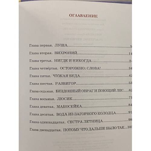 Дополнительное изображение книги «Счастливо, Ивушкин!»
