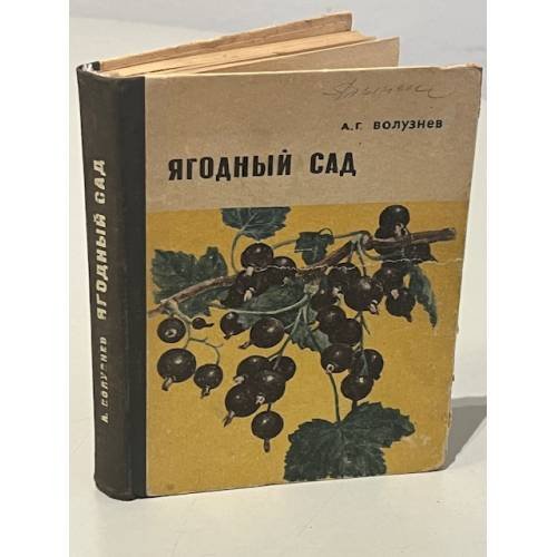 Обложка книги «Ягодный сад» — А. Волузнев