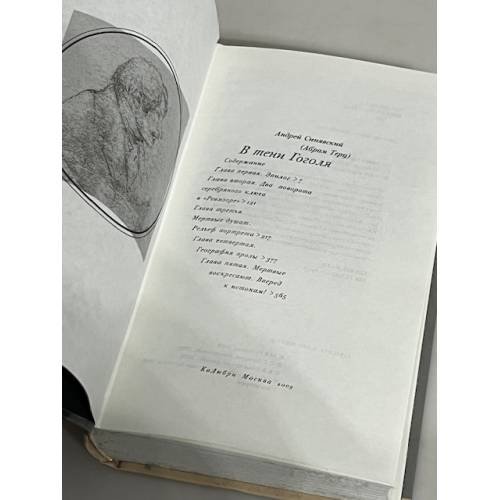 Дополнительное изображение книги «В тени Гоголя»