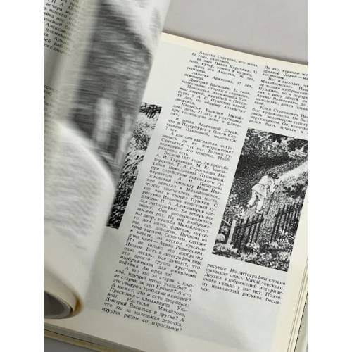 Дополнительное изображение книги «Приют, сияньем муз одетый»