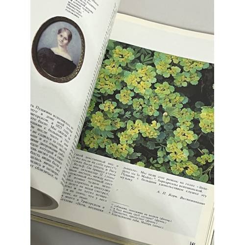 Дополнительное изображение книги «Приют, сияньем муз одетый»