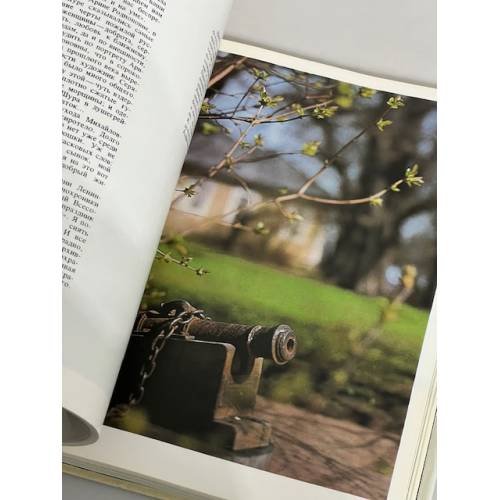 Дополнительное изображение книги «Приют, сияньем муз одетый»