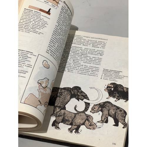 Дополнительное изображение книги «Доисторический человек. Кембриджский путеводитель»