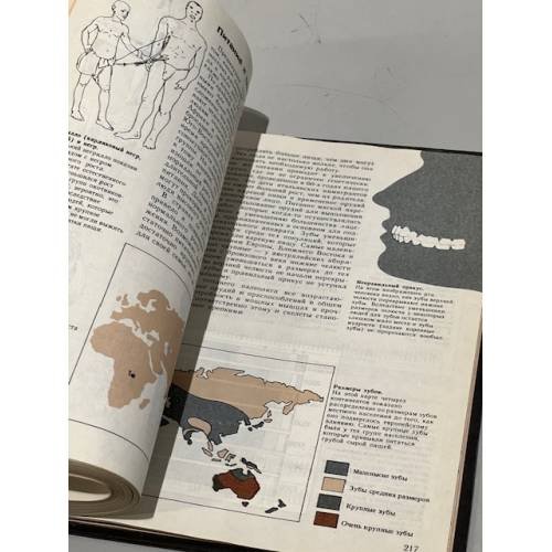 Дополнительное изображение книги «Доисторический человек. Кембриджский путеводитель»