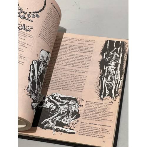 Дополнительное изображение книги «Доисторический человек. Кембриджский путеводитель»