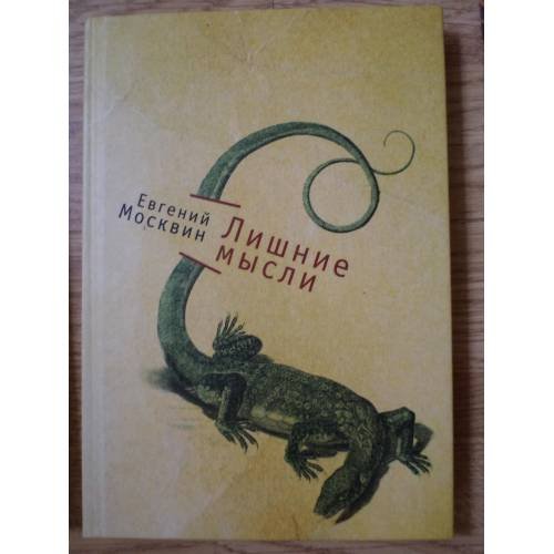Обложка книги «Лишние мысли» — Москвин Евгений., ISBN 9785914197749