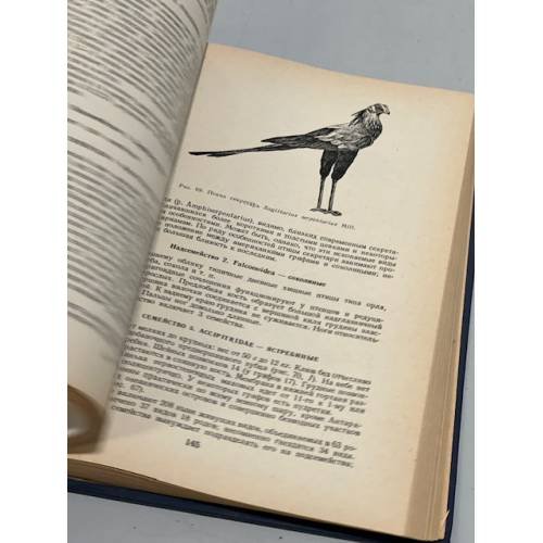 Дополнительное изображение книги «Систематика птиц»