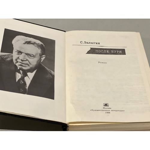 Дополнительное изображение книги «После бури»