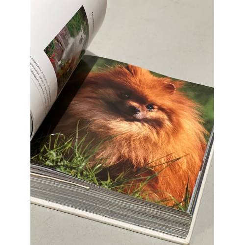 Дополнительное изображение книги «Собаки. Самые лучшие фотографии»