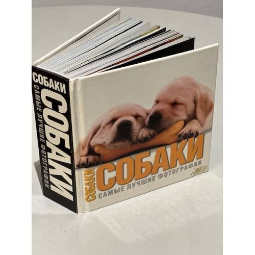 Обложка книги «Собаки. Самые лучшие фотографии» — Буоно В.