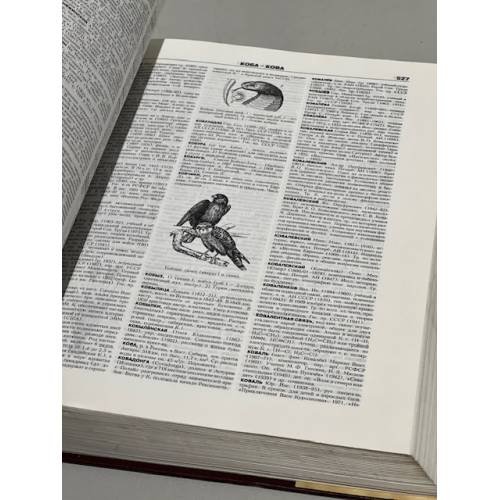 Дополнительное изображение книги «Новый энциклопедический словарь»