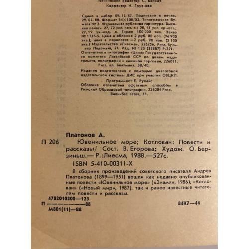 Дополнительное изображение книги «Ювенильное море. Котлован»