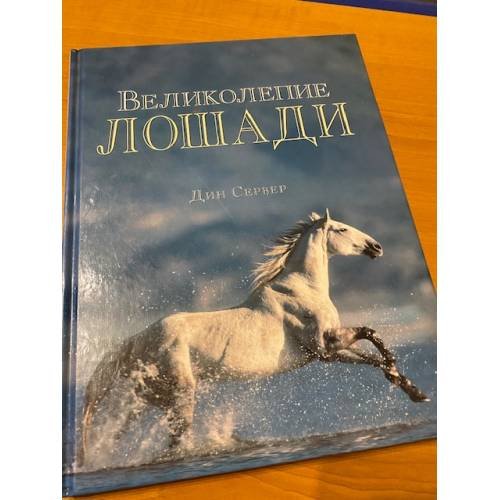 Обложка книги «Великолепие лошади» — Сервер Дин, ISBN 985407062X