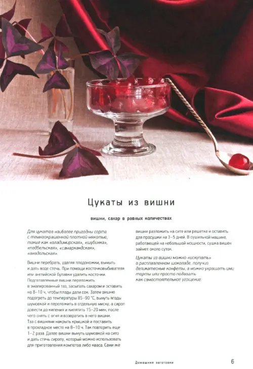 Дополнительное изображение книги «Сушка и заморозка»