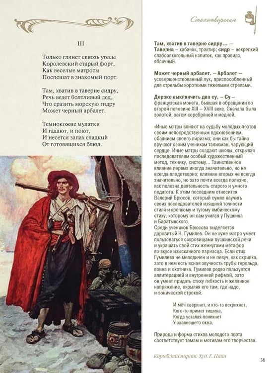Дополнительное изображение книги «Стихотворения с иллюстрациями и комментариями»