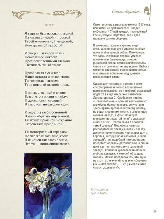 Дополнительное изображение книги «Стихотворения с иллюстрациями и комментариями»