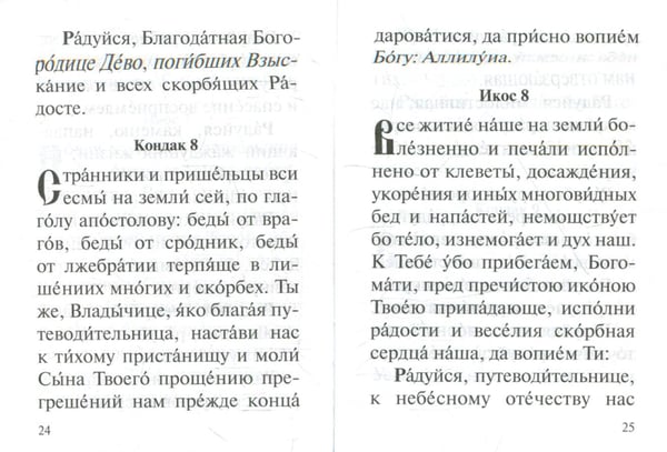 Дополнительное изображение книги «Акафист Пресвятей Богородице в честь иконы Ея "Взыскание погибших" и Всех скорбящих Радость"»