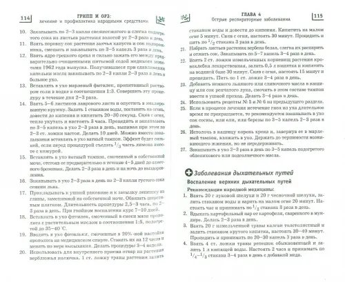 Дополнительное изображение книги «Грипп и ОРЗ: лечение и профилактика народными средствами»