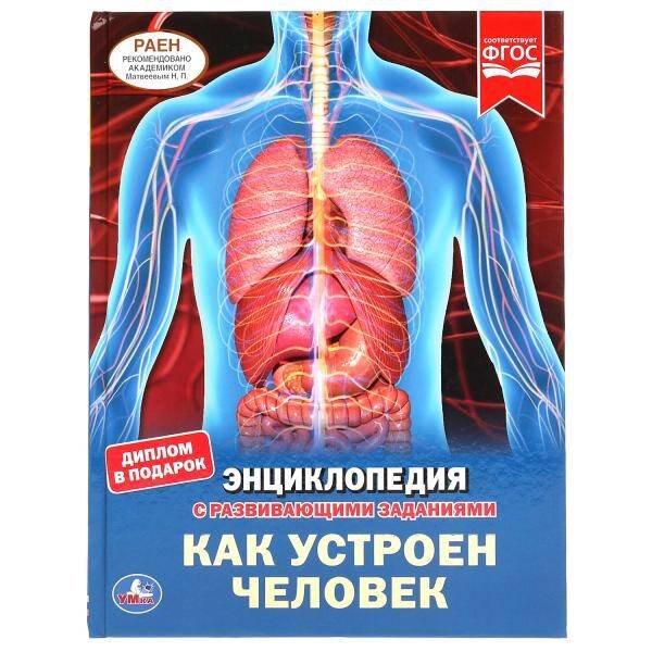Обложка книги «Как Устроен Человек. Энциклопедия А4 С Развивающими Заданиями.», ISBN 9785506049487