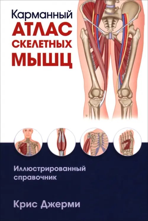 Обложка книги «Карманный атлас скелетных мышц. Иллюстрированный справочник» — Джерми Крис, ISBN 9789851563360