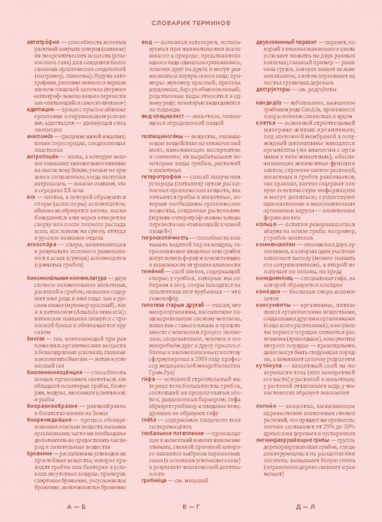 Дополнительное изображение книги «Мико. Полный путеводитель по миру грибов»