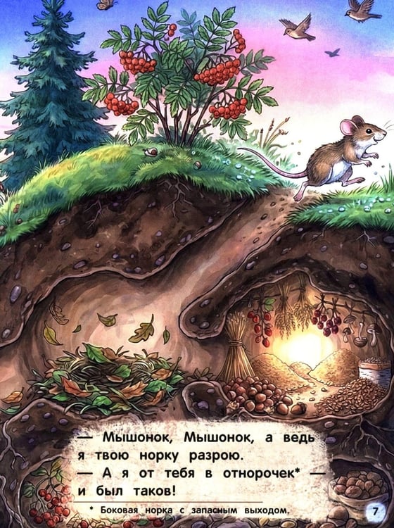 Дополнительное изображение книги «Лесные сказки»