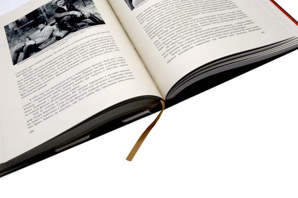 Дополнительное изображение книги «Бринеры. Летопись поколений»