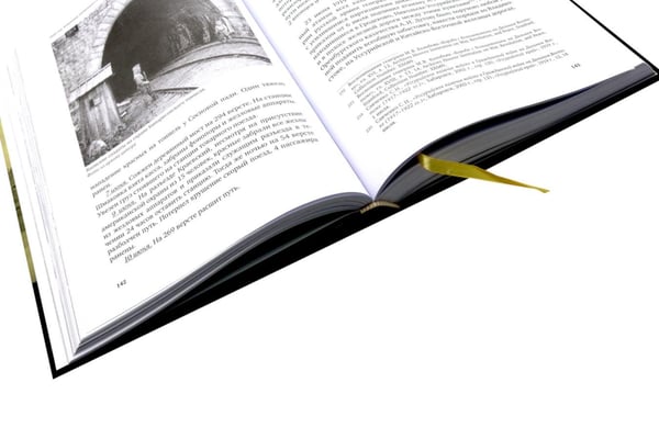Дополнительное изображение книги «1920. Командир казненного полка. Массовое убийство на реке Хор»