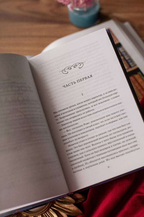Дополнительное изображение книги «Госпожа Бовари. Вечные истории. Young Adult»