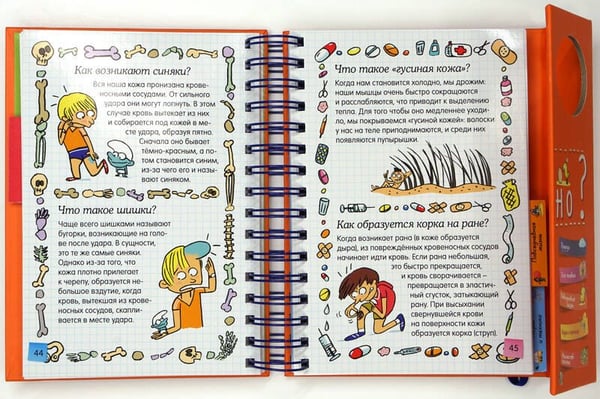 Дополнительное изображение книги «Как всё устроено?»