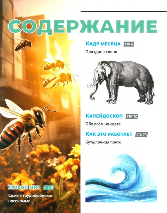Дополнительное изображение книги «Думай КИДС № 2024 № 27 (03)»