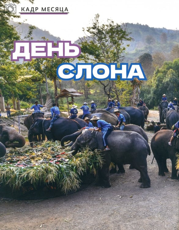 Дополнительное изображение книги «Думай КИДС № 2024 № 27 (03)»