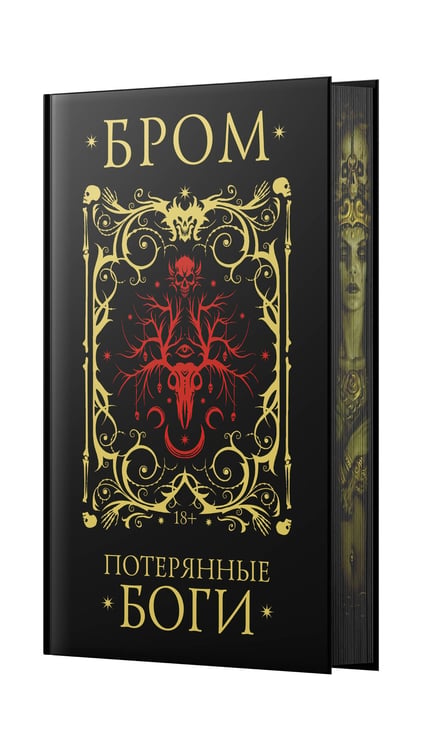 Дополнительное изображение книги «Потерянные боги»