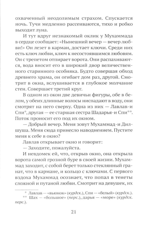 Дополнительное изображение книги «Последнее гранатовое дерево»