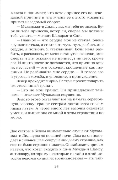 Дополнительное изображение книги «Последнее гранатовое дерево»
