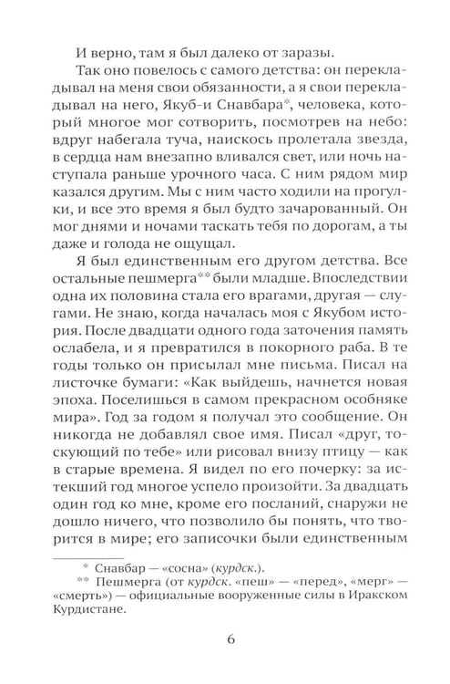 Дополнительное изображение книги «Последнее гранатовое дерево»