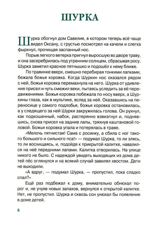 Дополнительное изображение книги «Пэшка: повесть»