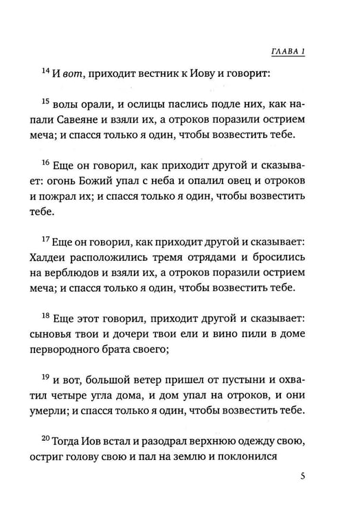 Дополнительное изображение книги «Книга Иова»