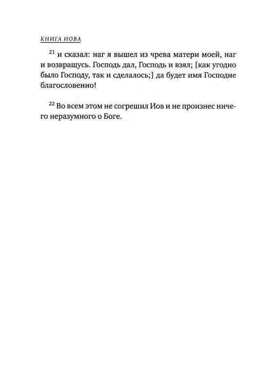 Дополнительное изображение книги «Книга Иова»