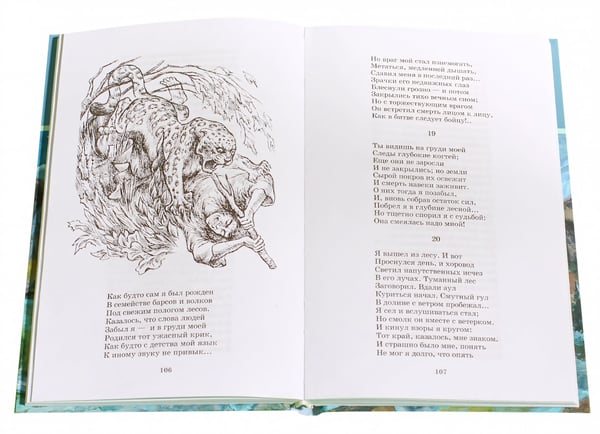 Дополнительное изображение книги «Поэмы»