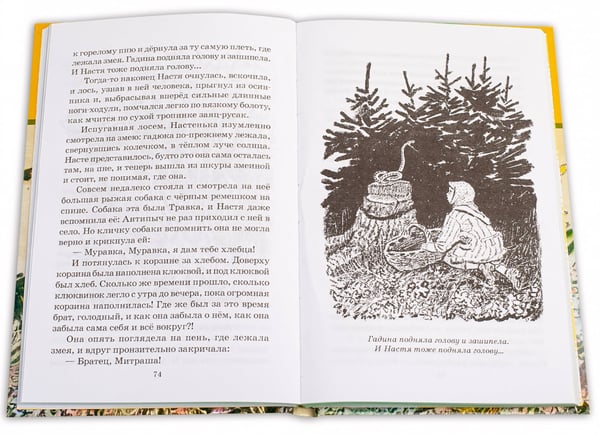 Дополнительное изображение книги «Кладовая солнца»