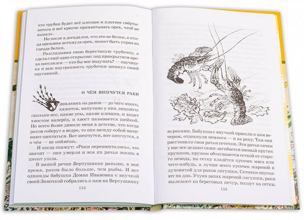 Дополнительное изображение книги «Кладовая солнца»