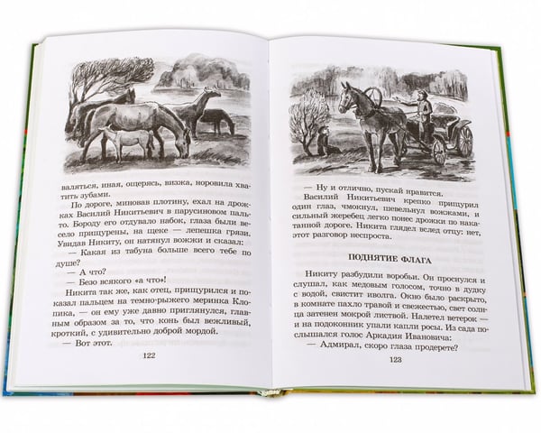 Дополнительное изображение книги «Детство Никиты»