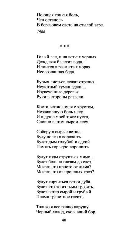 Дополнительное изображение книги «Черные камни»