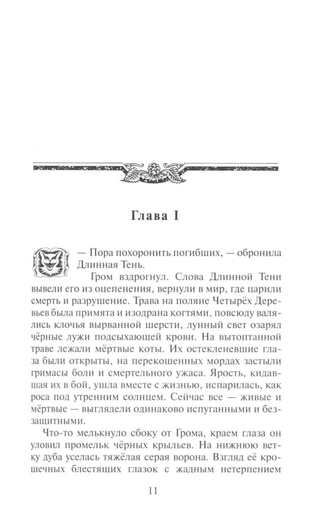 Дополнительное изображение книги «Коты-воители. Сверкающая Звезда»