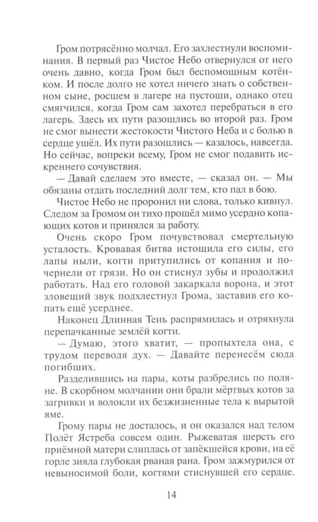 Дополнительное изображение книги «Коты-воители. Сверкающая Звезда»