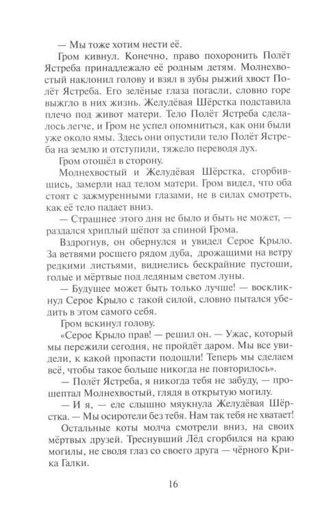 Дополнительное изображение книги «Коты-воители. Сверкающая Звезда»