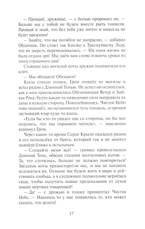 Дополнительное изображение книги «Коты-воители. Сверкающая Звезда»