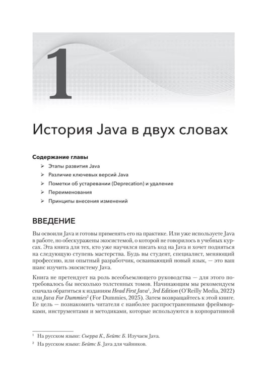 Дополнительное изображение книги «Java для профи. Инструменты, фреймворки, тестирование, производительность (Spring, Git, Prometheus, Project Lombok)»
