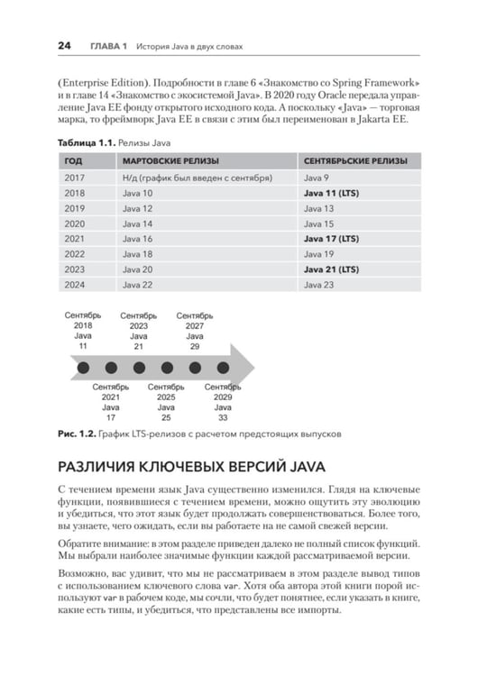 Дополнительное изображение книги «Java для профи. Инструменты, фреймворки, тестирование, производительность (Spring, Git, Prometheus, Project Lombok)»